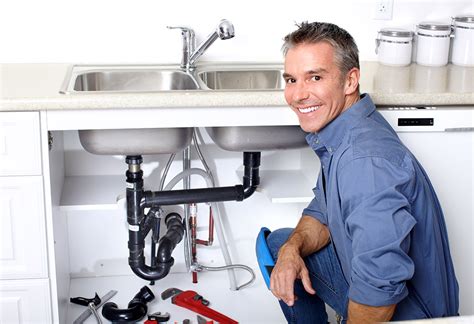 professional plumbers.